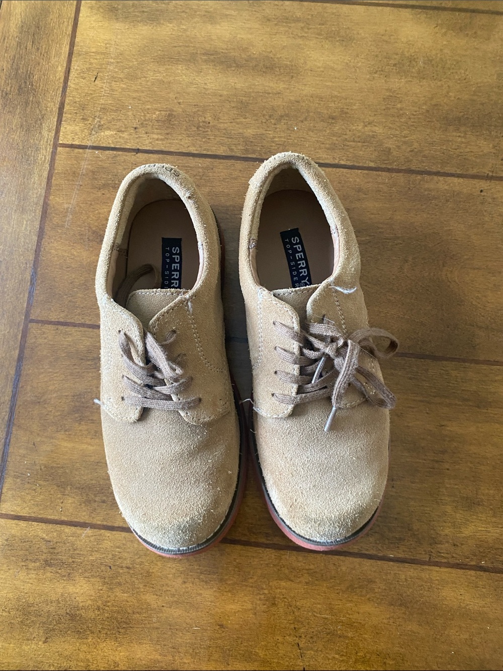Boys Tevin Sperry suede lace up